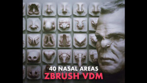 پکیج براش زیبراش دماغ ZBrush VDM Nasal Areas