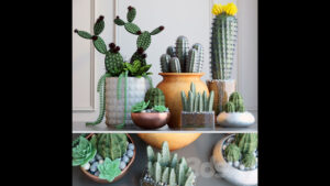 مجموعه مدل سه بعدی گلدان کاکتوس Cacti
