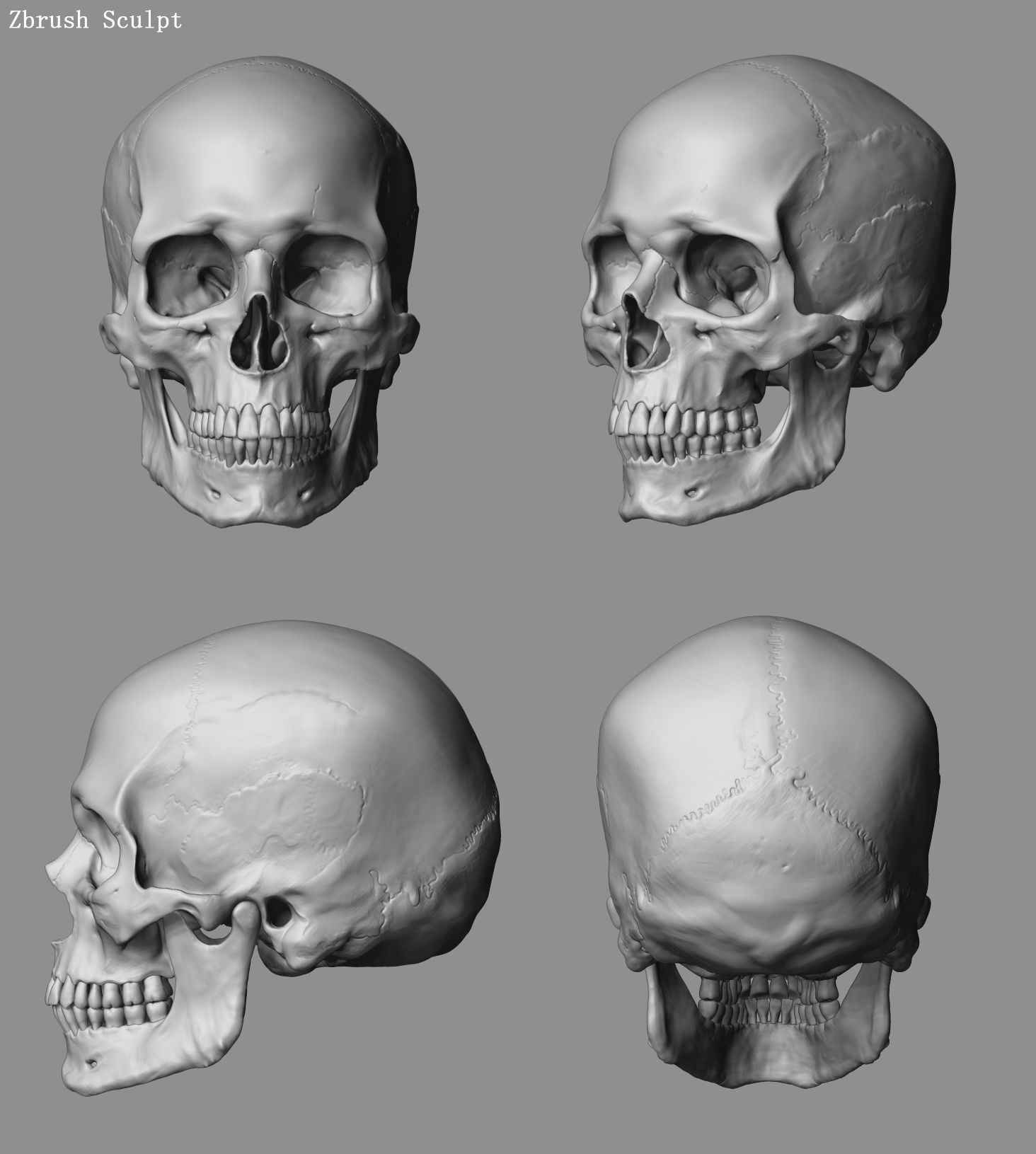 مدل سه بعدی جمجمه انسان Human Skull - افکت ۲۴