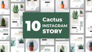 پروژه افترافکت مجموعه استوری اینستاگرام Cactus Instagram Story Pack