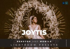 پریست لایت روم دسکتاپ و موبایل Joytis Lightroom Preset